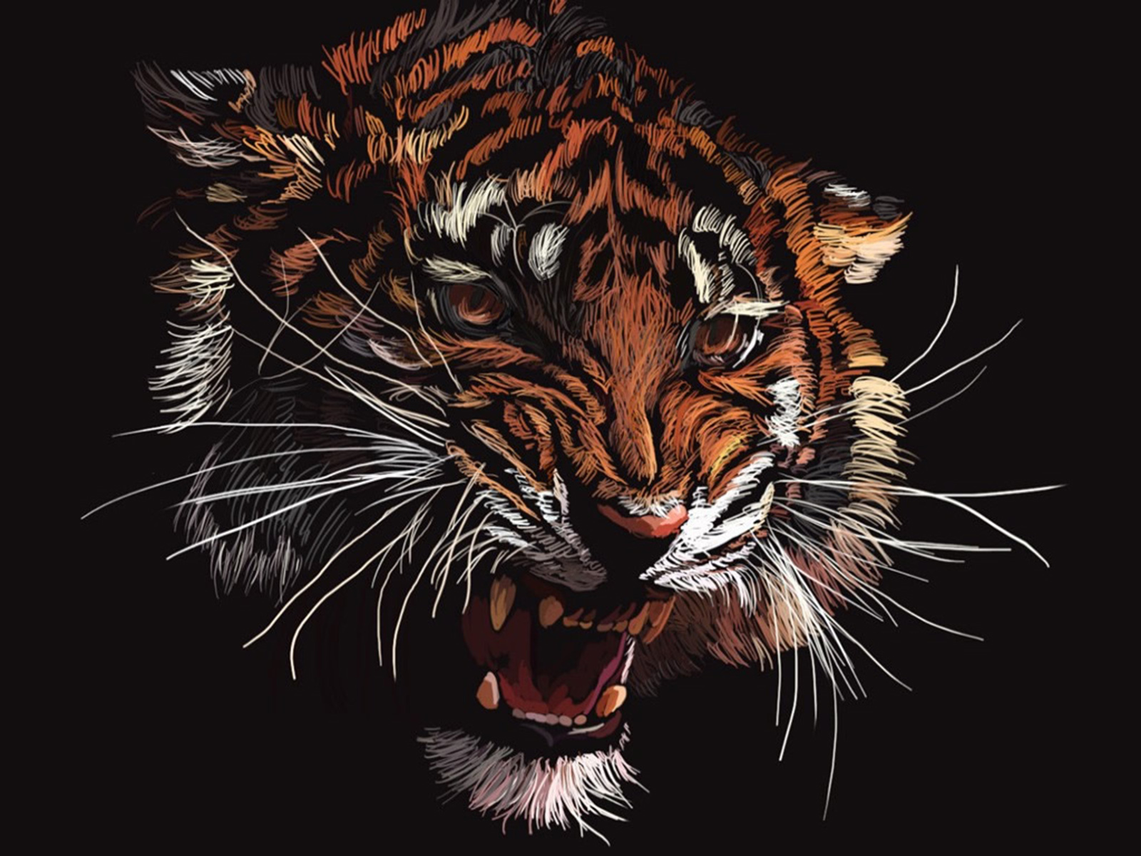 wallpaper hd tigre